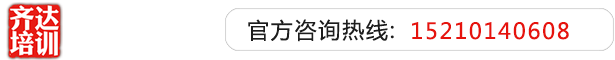 肏女生逼的网站齐达艺考文化课-艺术生文化课,艺术类文化课,艺考生文化课logo